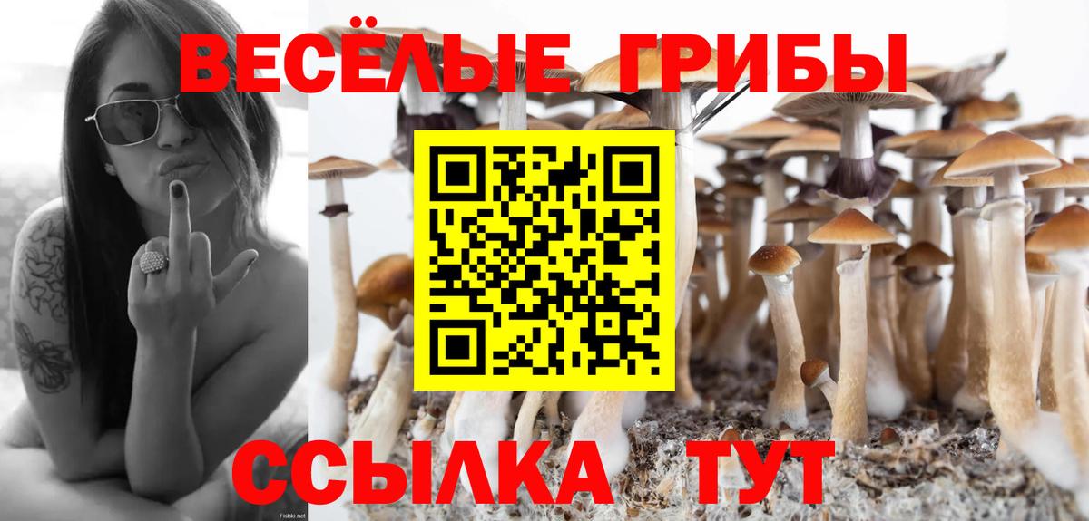 Галлюциногенные грибы Cubensis Куйбышев